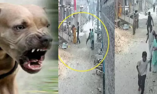 വാക്കേറ്റത്തിനിടെ പിറ്റ്ബുൾ ഇനത്തിൽപെട്ട നായയെ അഴിച്ചുവിട്ട് അക്രമിച്ചു; അയൽക്കാരനെതിരെ പരാതിയുമായി യുവതി