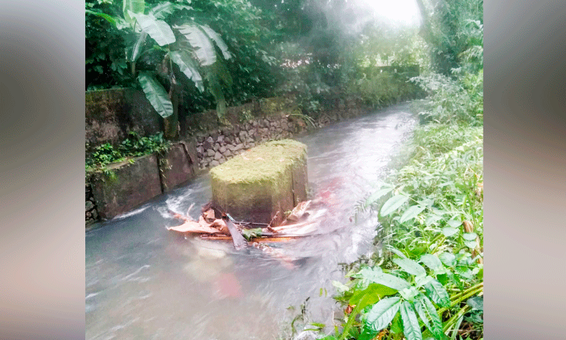 തോടിന്‍റെ സംരക്ഷണഭിത്തി തകർന്നു
