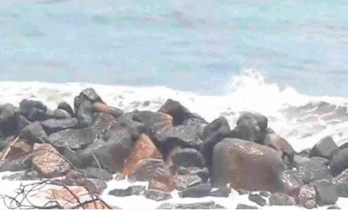 തിരയിളകിയാൽ ഉള്ളിൽ ആന്തൽ