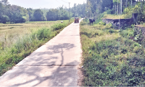 ചേ​കാ​ടി - കു​റു​വ ദ്വീ​പ് റോ​ഡ്