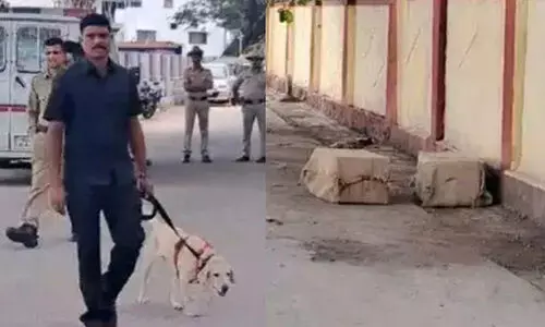 റെയിൽവേ സ്റ്റേഷനിൽ അജ്ഞാത പെട്ടികൾ: രണ്ടു പേർ കസ്റ്റഡിയിൽ