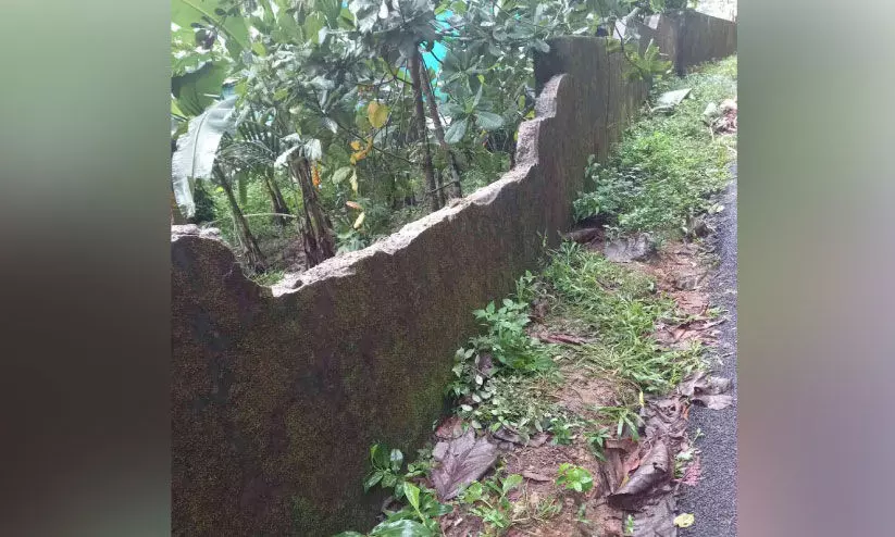 wild animal menace wild animal menace