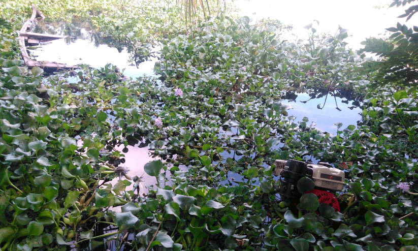 കടത്തുവള്ളം മുങ്ങി; പിഞ്ചുകുഞ്ഞുങ്ങളടക്കം 14 പേർ രക്ഷപ്പെട്ടത് തലനാരിഴക്ക് കടത്തുവള്ളം മുങ്ങി; പിഞ്ചുകുഞ്ഞുങ്ങളടക്കം 14 പേർ രക്ഷപ്പെട്ടത് തലനാരിഴക്ക്