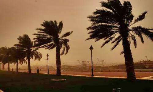 കുവൈത്ത്; മഴക്കാല മുന്നൊരുക്കം തുടങ്ങി കുവൈത്ത്; മഴക്കാല മുന്നൊരുക്കം തുടങ്ങി