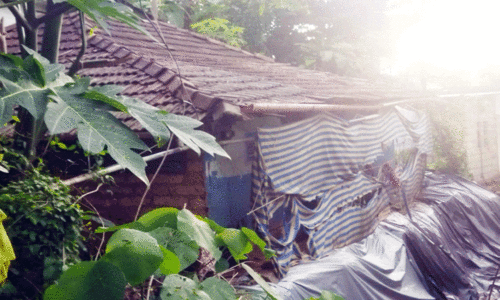 ഇറയമ്പാട്ടിൽ റസിയയുടെ കൂര