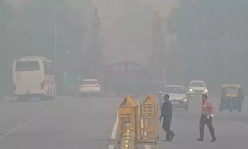 ഡൽഹി മലിനീകരണം: വൈക്കോൽ കത്തിക്കുന്നതിനെതിരെ നടപടിക്ക് നിർദേശം