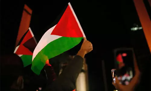 Palestine Solidarity