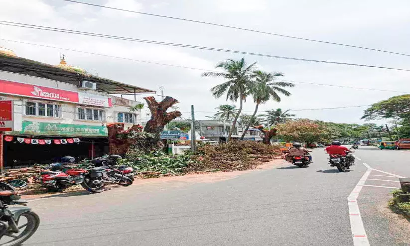 തണൽമരങ്ങൾ വെട്ടുന്നത്​ പതിവ്​; കണ്ണടച്ച്​ അധികൃതർ