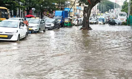 മ​ഴ​ദു​രി​തം; പ​രി​ഹാ​ര​ത്തി​ന് ഓ​രോ വാ​ർ​ഡി​ലും എ​ൻ​ജി​നീ​യ​ർ​മാ​ർ