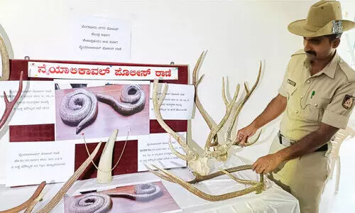 ആനക്കൊമ്പ്, മാൻകൊമ്പ്, ഇരുതലമൂരി അഞ്ചുപേർ പിടിയിൽ