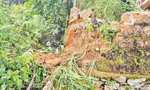 കാ​ട്ടാ​ന​ക്കൂ​ട്ടം ധോ​ണി ജ​ന​വാ​സ മേ​ഖ​ല​യി​ൽ; വ​ൻ​നാ​ശം