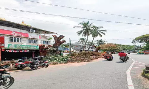 തണൽമരങ്ങൾ വെട്ടുന്നത്​ പതിവ്​; കണ്ണടച്ച്​ അധികൃതർ