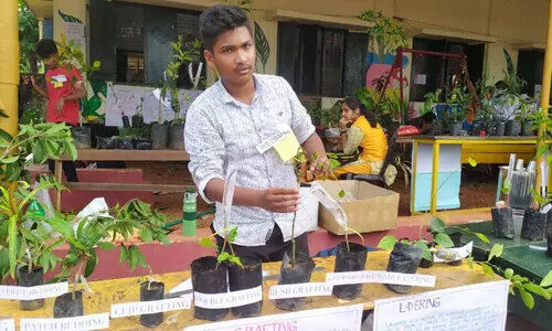 നിദാൽ നിയാസ്