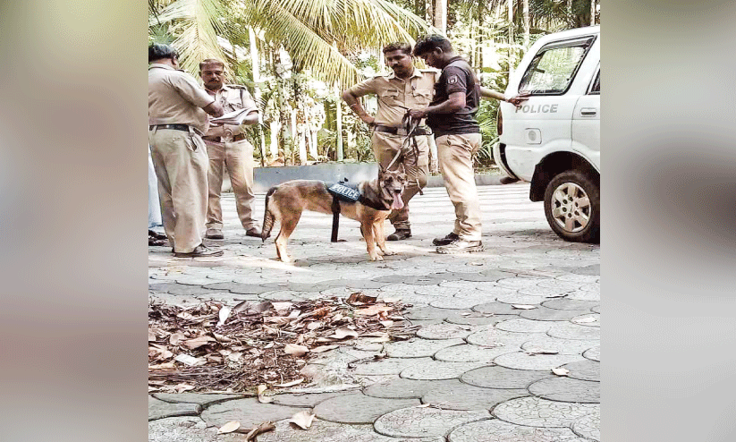 മാലയിൽ കൈവച്ചപ്പോൾ വീട്ടമ്മയുമായി പിടിവലി; മോഷ്ടാവ് കൊണ്ടുപോയത് അഞ്ചര പവൻ മാലയിൽ കൈവച്ചപ്പോൾ വീട്ടമ്മയുമായി പിടിവലി; മോഷ്ടാവ് കൊണ്ടുപോയത് അഞ്ചര പവൻ