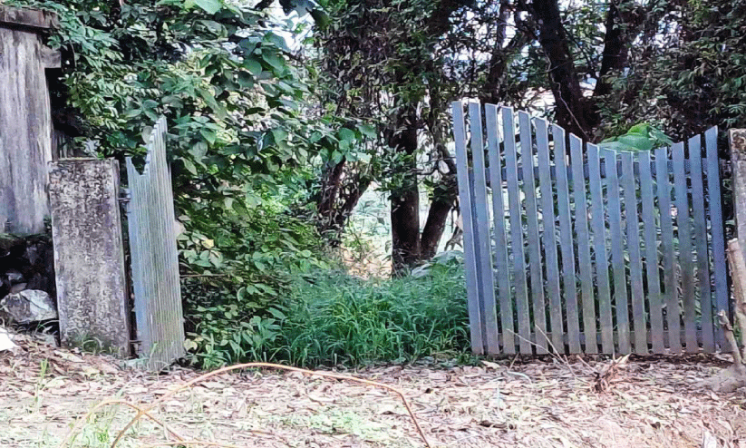 ലക്ഷങ്ങൾ മുടക്കി നിർമിച്ച പൊതുശ്മശാനം കാടുകയറി