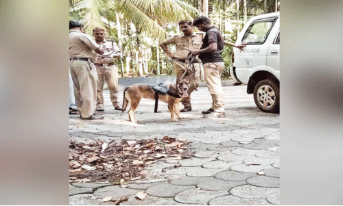 മാ​ല​യി​ൽ കൈ​വ​ച്ച​പ്പോ​ൾ വീ​ട്ട​മ്മ​യു​മാ​യി പി​ടി​വ​ലി; മോ​ഷ്ടാ​വ് കൊ​ണ്ടു​പോ​യ​ത് അ​ഞ്ച​ര പ​വ​ൻ