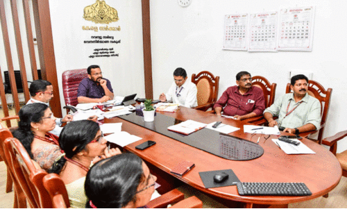 ഇടുക്കി, കല്ലാര്‍കുട്ടി, ചെങ്കുളം പ്രദേശങ്ങളിലെ പട്ടയവിതരണം: സര്‍വേ 20ന് ആരംഭിക്കും