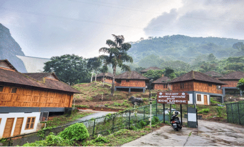 ഇടുക്കി ഇക്കോ ലോഡ്​ജുകൾ ഇന്ന് തുറക്കും