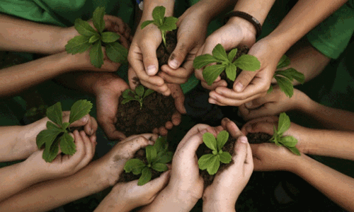 വന സംരക്ഷണ ഭേദഗതി നിയമം പ്രതീക്ഷയോടെ മലയോര മേഖല വന സംരക്ഷണ ഭേദഗതി നിയമം പ്രതീക്ഷയോടെ മലയോര മേഖല