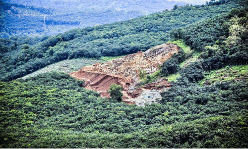 അതീവ പരിസ്ഥിതിലോല മേഖലയായ നരിപ്പാറ മലയില്‍ ക്വാറി