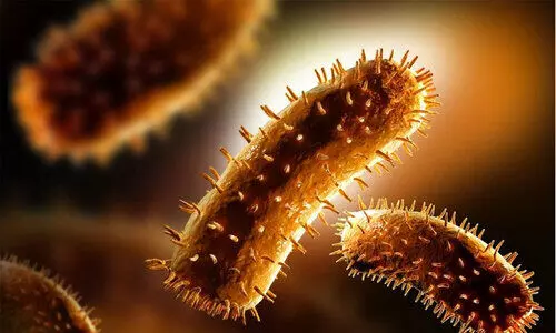 എലിപ്പനി- ഡെങ്കിപ്പനി; അഞ്ചു വർഷത്തിനിടെ   ഏറ്റവും ഉയർന്ന നിരക്കിൽ