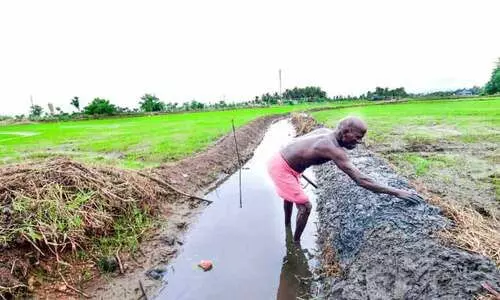 കു​​ട്ട​​നാ​ട്ടി​ൽ ഇ​നി കൃ​ഷി, തൊ​ഴി​ൽ  എ​ത്ര​നാ​ൾ?