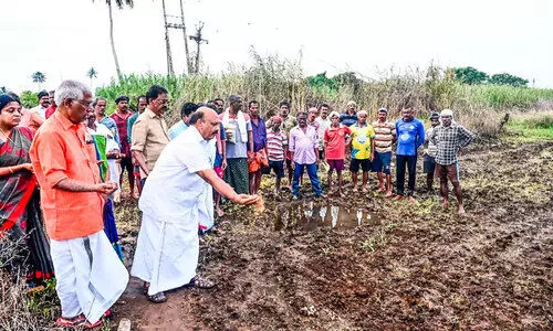ചിത്തിരകായലിലെ പുഞ്ചകൃഷിക്ക് തുടക്കം ചിത്തിരകായലിലെ പുഞ്ചകൃഷിക്ക് തുടക്കം