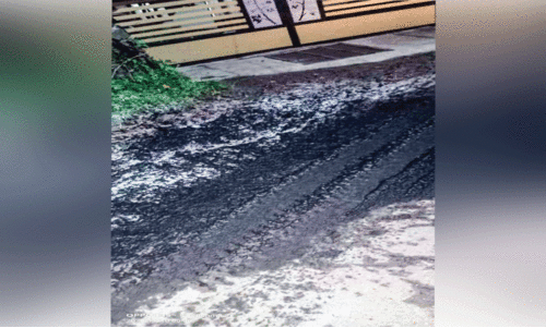 കോവിലകംകുണ്ടിൽ തള്ളിയ കക്കൂസ് മാലിന്യം കോവിലകംകുണ്ടിൽ തള്ളിയ കക്കൂസ് മാലിന്യം