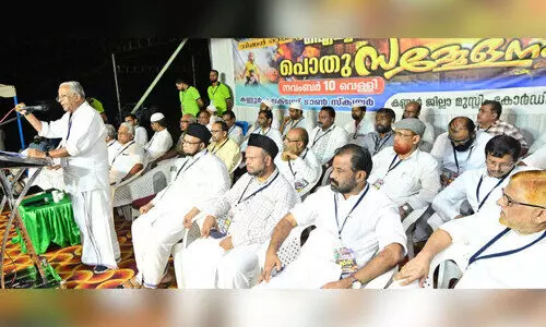 palestine solidarity