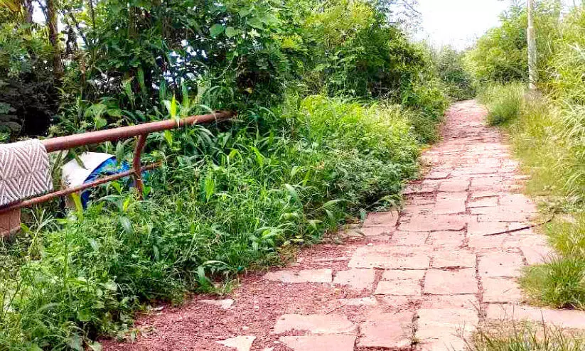 വർക്കല ഹെലിപ്പാഡിൽനിന്നുള്ള കാഴ്ച മറച്ച് കാട്ടുപൊന്തകൾ വർക്കല ഹെലിപ്പാഡിൽനിന്നുള്ള കാഴ്ച മറച്ച് കാട്ടുപൊന്തകൾ