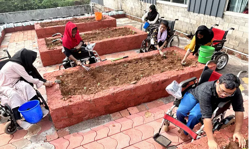 സ്വപ്നങ്ങൾ വിളവെടുക്കുന്നവർ