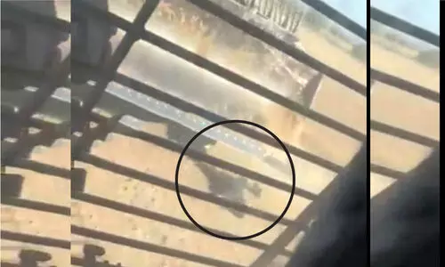 ഫലസ്തീനിയുടെ ദേഹത്ത് സൈനിക ടാങ്ക് കയറ്റി ഇസ്രായേലി ക്രൂരത