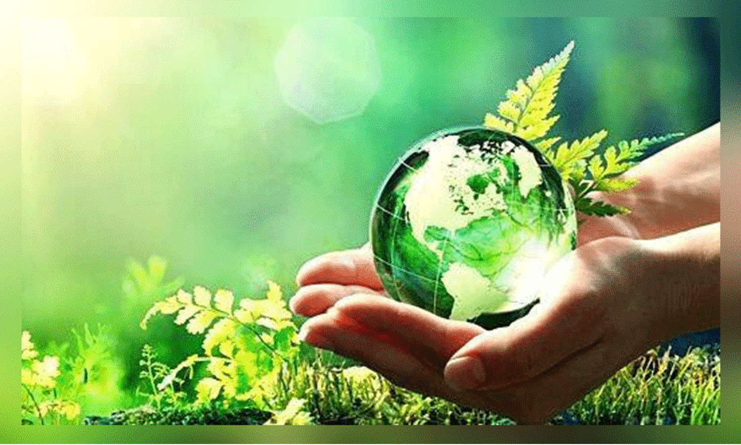 ശിശുദിനത്തിൽ കുട്ടികളുടെ ഹരിതസഭ; നി​യ​മ​ലം​ഘ​ന​ങ്ങ​ൾ ക​ണ്ടെ​ത്തി റി​പ്പോ​ർ​ട്ട് ത​യാ​റാ​ക്കും