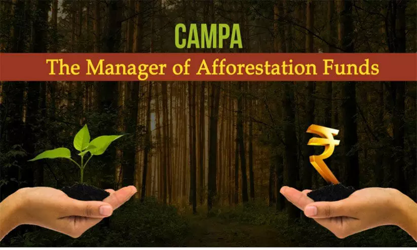 അവസാനം നൽകിയത് 2020ൽ; കേരളത്തിന് കേന്ദ്രത്തിന്റെ ‘കാംപ’ ഫണ്ടുമില്ല അവസാനം നൽകിയത് 2020ൽ; കേരളത്തിന് കേന്ദ്രത്തിന്റെ ‘കാംപ’ ഫണ്ടുമില്ല