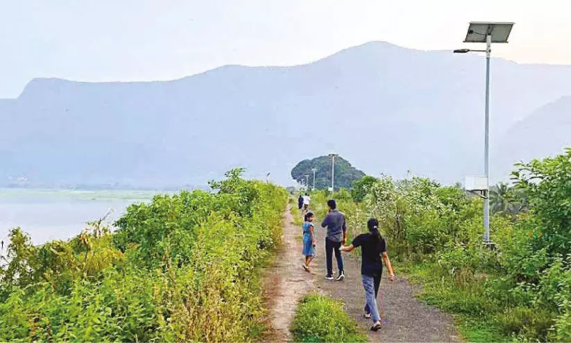 ചുള്ളിയാർ ഡാമിൽ വിനോദസഞ്ചാരികളെ കാത്ത് പന്നികളും തെരുവുനായ്ക്കളും ചുള്ളിയാർ ഡാമിൽ വിനോദസഞ്ചാരികളെ കാത്ത് പന്നികളും തെരുവുനായ്ക്കളും