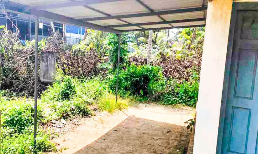 ദേശീയപാത വികസനം; അരൂർ വില്ലേജ് ഓഫിസ് കെട്ടിടം പൊളിക്കുമെന്ന് ആശങ്ക ദേശീയപാത വികസനം; അരൂർ വില്ലേജ് ഓഫിസ് കെട്ടിടം പൊളിക്കുമെന്ന് ആശങ്ക