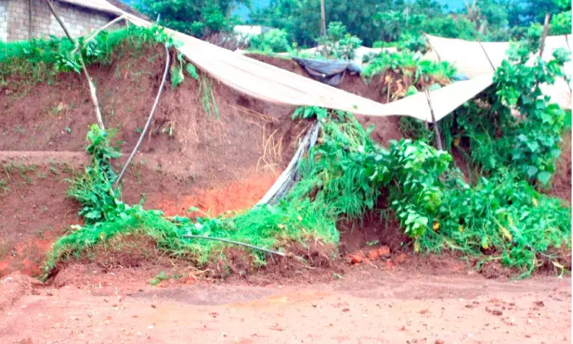 കനത്ത മഴ: കാന്തല്ലൂർ, വട്ടവടയിൽ വ്യാപക കൃഷി നാശം