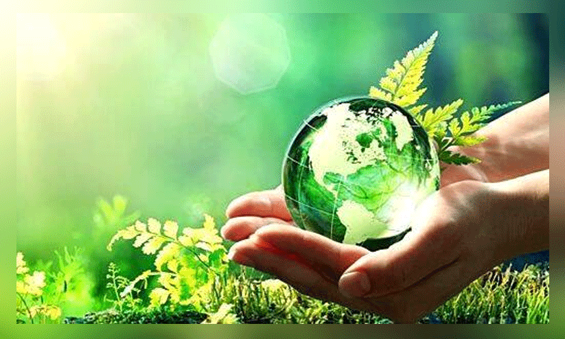 ശിശുദിനത്തിൽ കുട്ടികളുടെ ഹരിതസഭ; നി​യ​മ​ലം​ഘ​ന​ങ്ങ​ൾ ക​ണ്ടെ​ത്തി റി​പ്പോ​ർ​ട്ട് ത​യാ​റാ​ക്കും