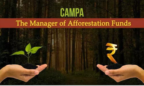 അവസാനം നൽകിയത് 2020ൽ; കേരളത്തിന് കേന്ദ്രത്തിന്റെ ‘കാംപ’ ഫണ്ടുമില്ല അവസാനം നൽകിയത് 2020ൽ; കേരളത്തിന് കേന്ദ്രത്തിന്റെ ‘കാംപ’ ഫണ്ടുമില്ല