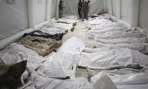 alshifa hospital gaza