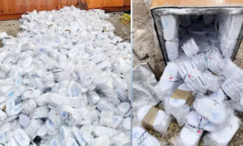 കു​വൈ​ത്തി​ലേ​ക്ക് ക​ട​ത്താ​ൻ ശ്ര​മി​ച്ച മ​യ​ക്കു​മ​രു​ന്ന് പി​ടി​കൂ​ടി