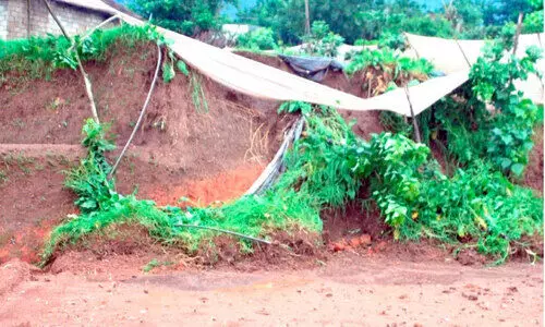 കനത്ത മഴ: കാന്തല്ലൂർ, വട്ടവടയിൽ വ്യാപക കൃഷി നാശം