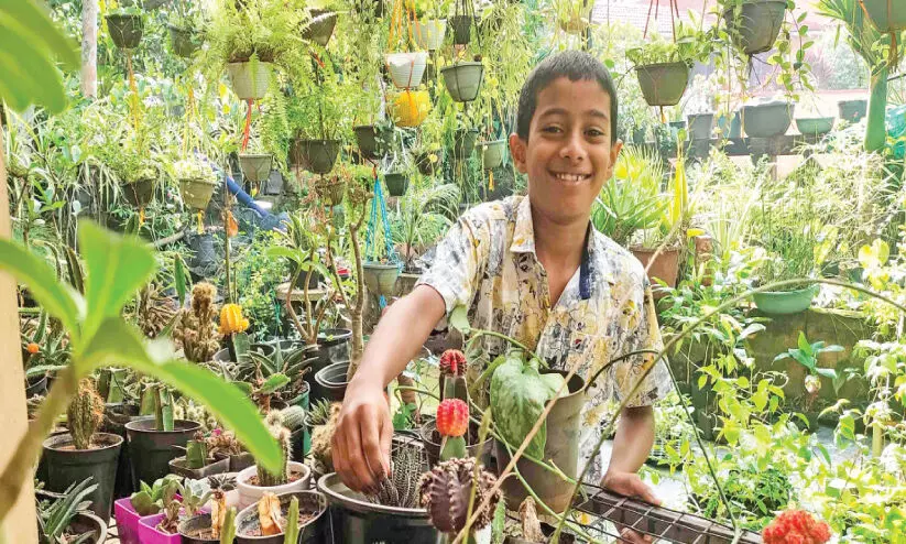 Karthik Dinesh On Butterfly Garden