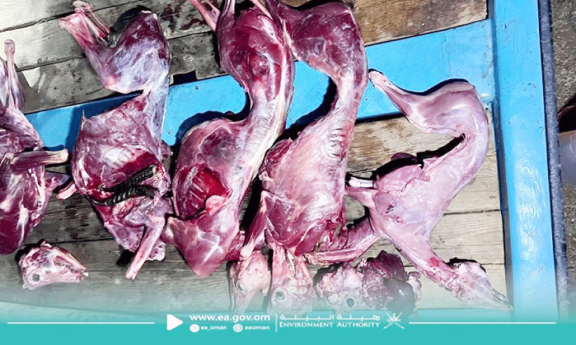 വേ​ട്ട​ക്കാ​രി​ൽ​നി​ന്ന്​ ക​ണ്ടെ​ടു​ത്ത മാ​നി​റ​ച്ചി