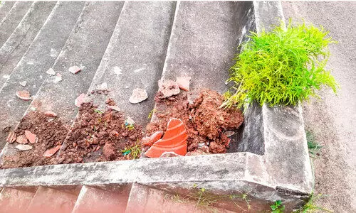 സ്‌കൂളിൽ കഞ്ചാവ് മാഫിയയുടെ വിളയാട്ടം