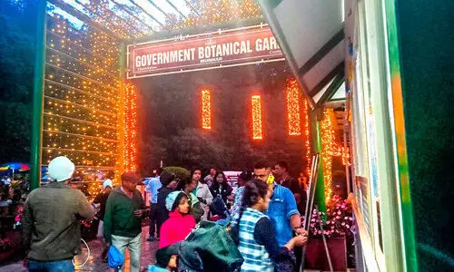 ദീപാവലിയിൽ തിളങ്ങി; വിനോദസഞ്ചാര കേന്ദ്രങ്ങൾ ദീപാവലിയിൽ തിളങ്ങി; വിനോദസഞ്ചാര കേന്ദ്രങ്ങൾ