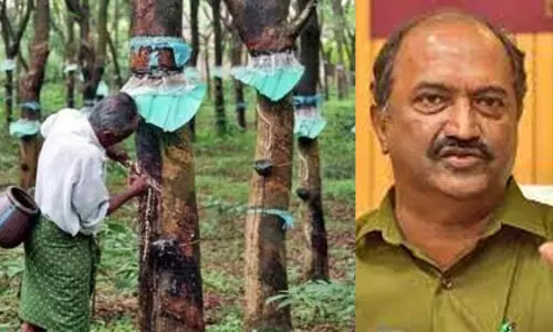 റബർ കർഷക സബ്‌സിഡി: ഒക്ടോബർ വരെയുള്ള തുക അനുവദിച്ചുവെന്ന് കെ.എൻ. ബാലഗോപാൽ