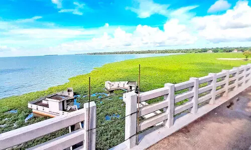 വേമ്പനാട്ട്​​ കായലിൽ മത്സ്യസമ്പത്ത്​ കുറയുന്നു