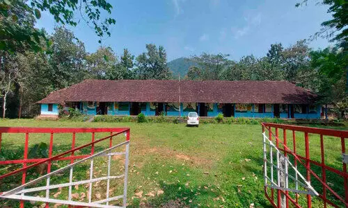 പഠിപ്പിക്കാതെ കാട്ടാനക്കൂട്ടം, പഠനം നിര്‍ത്തി വിദ്യാര്‍ഥികള്‍