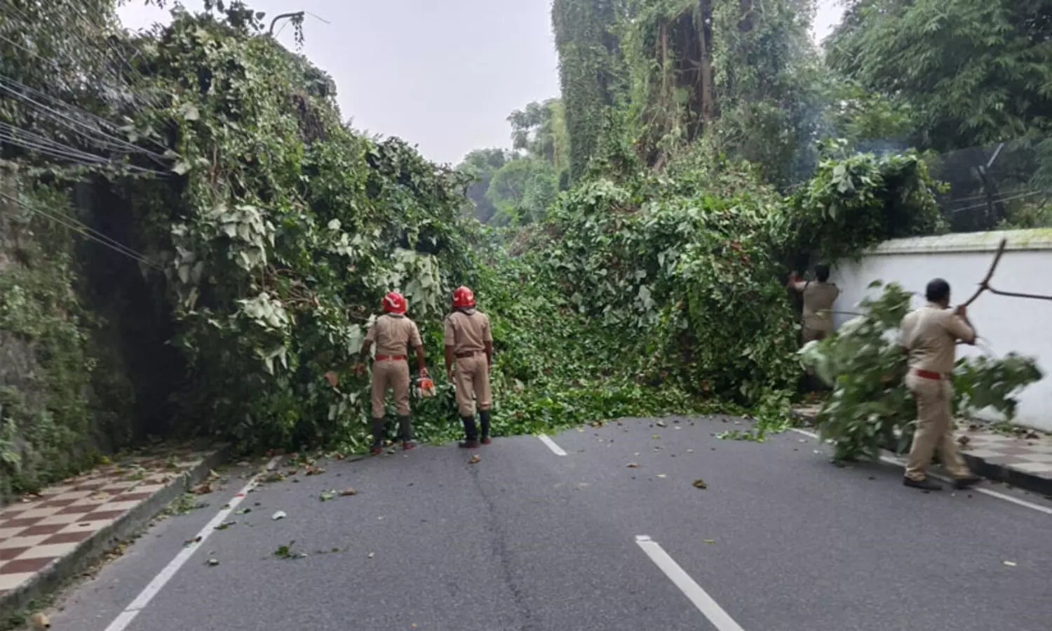 ഫയർ ഫോഴ്സിനെ വലച്ച വല്ലാത്തൊരു വള്ളിക്കെട്ട്